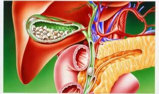 胆汁是由什么分泌的 胆汁是由什么分泌的东西