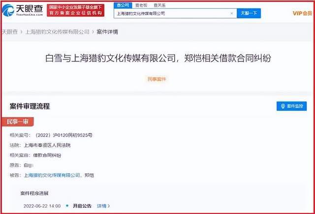 “小猎豹”郑恺成被执行人，背后的“瓜”挺复杂