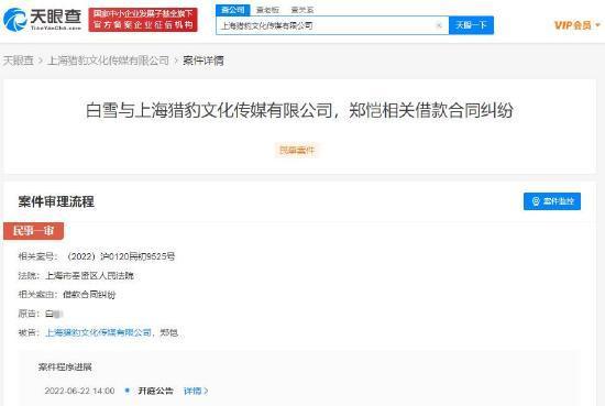 郑恺及其公司涉借款合同纠纷被起诉 6月22日开庭