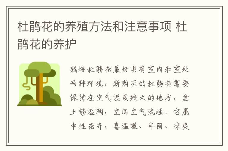 杜鹃花的养殖方法和注意事项 杜鹃花的养护