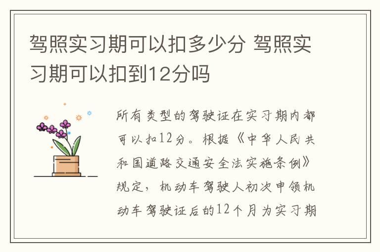 驾照实习期可以扣多少分 驾照实习期可以扣到12分吗