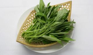 阳台栽什么菜旺财（阳台种什么植物招财又旺宅）