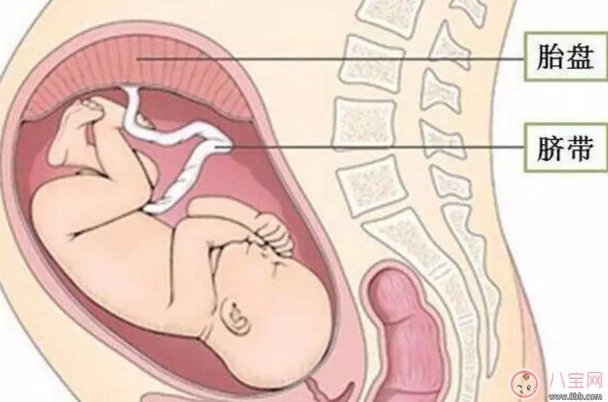 孕晚期胎盘老化的原因是什么 哪些孕妈妈要提防胎盘老化